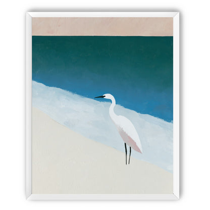 White egret at the shoreline