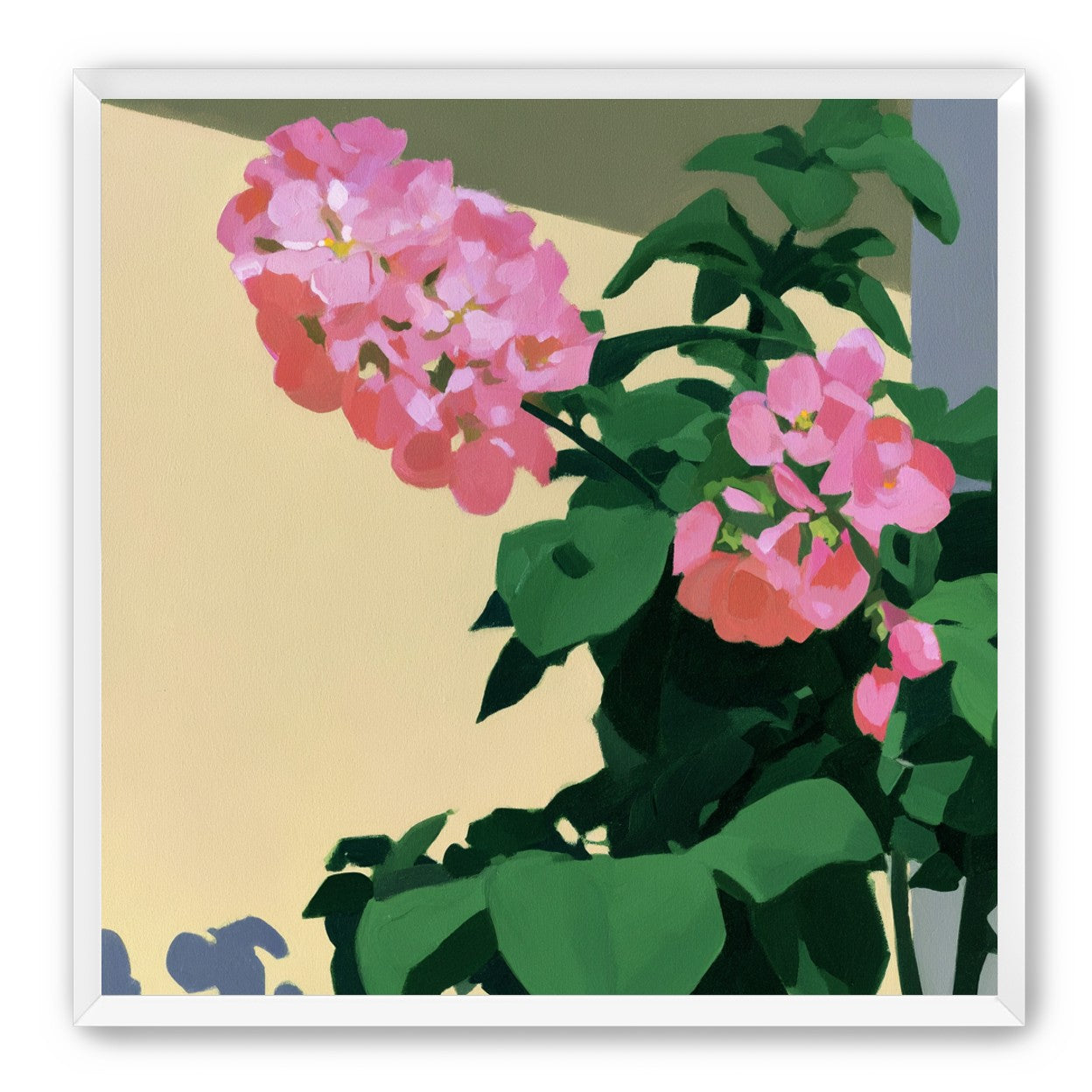 Pink blooms in hard light