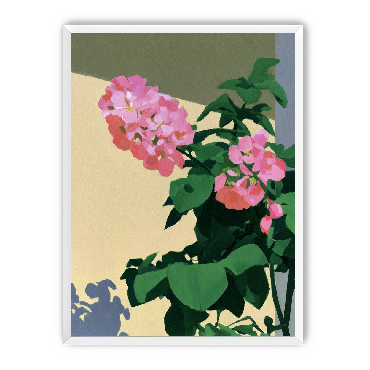 Pink blooms in hard light