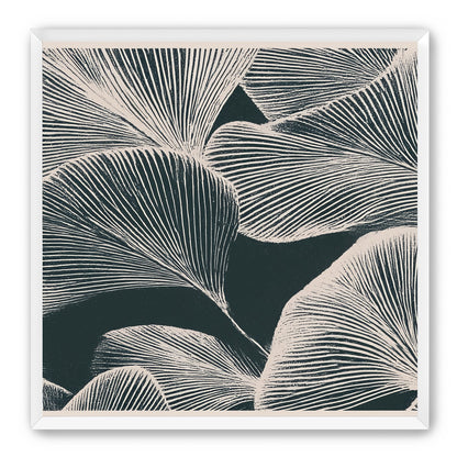 Pale veins on dark leaves