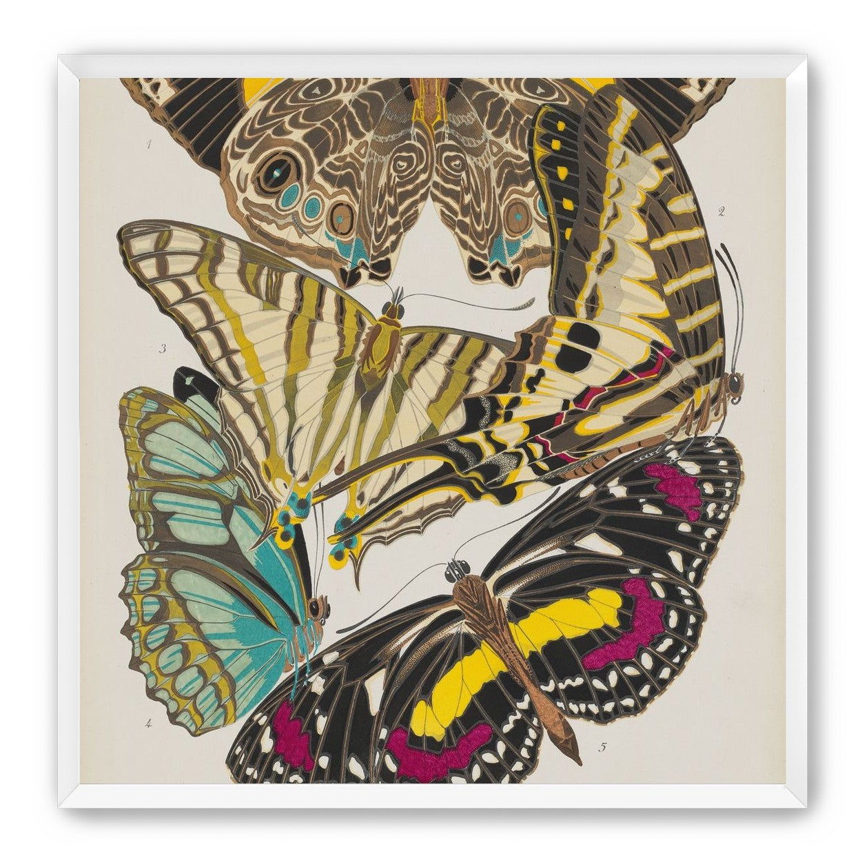 Butterflies among blank paper