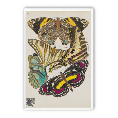 Butterflies among blank paper