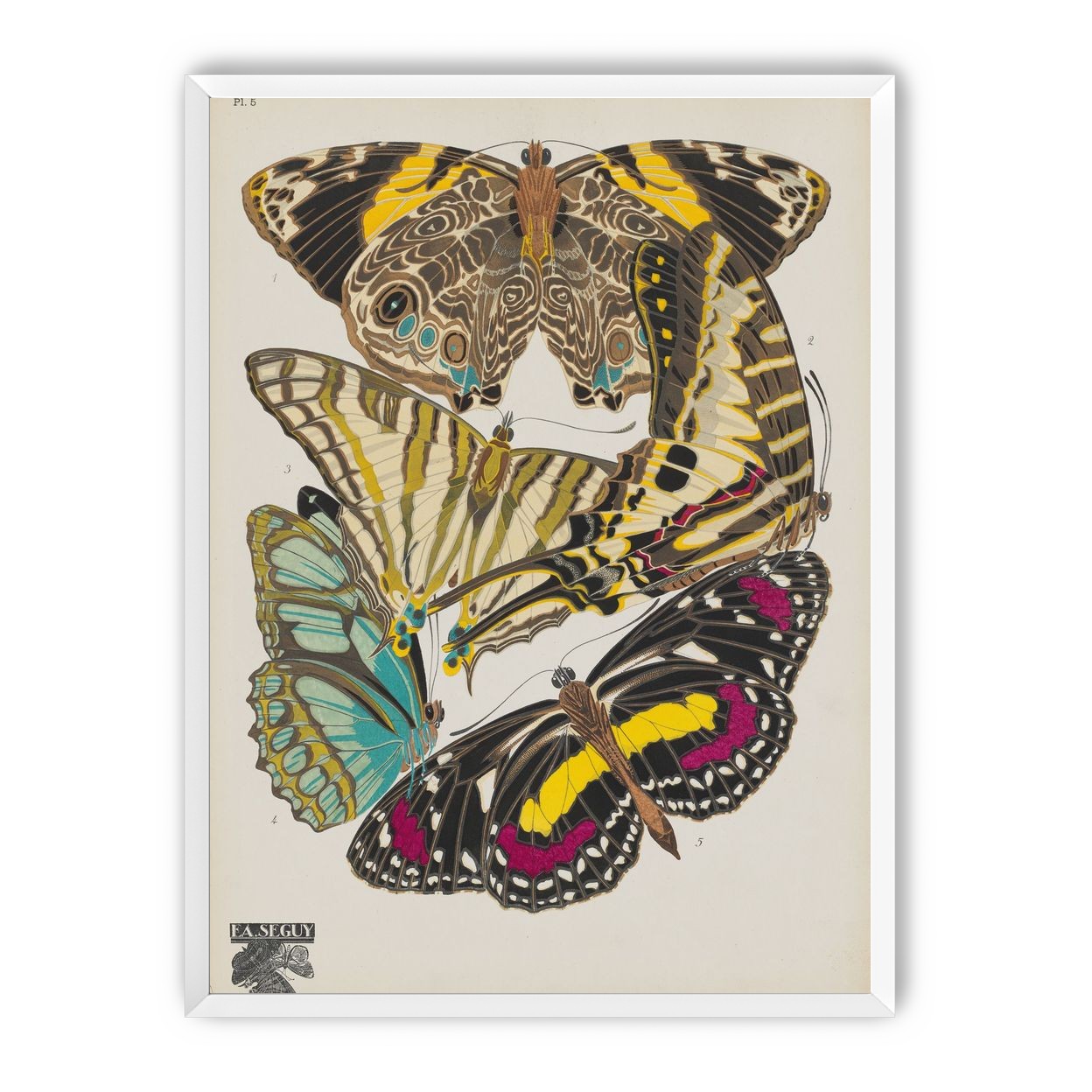 Butterflies among blank paper