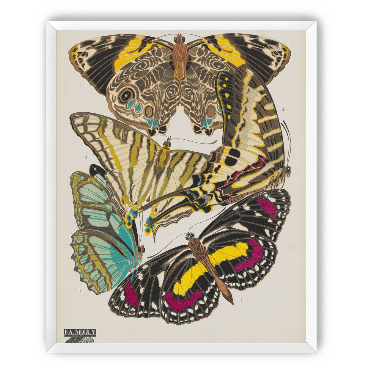 Butterflies among blank paper