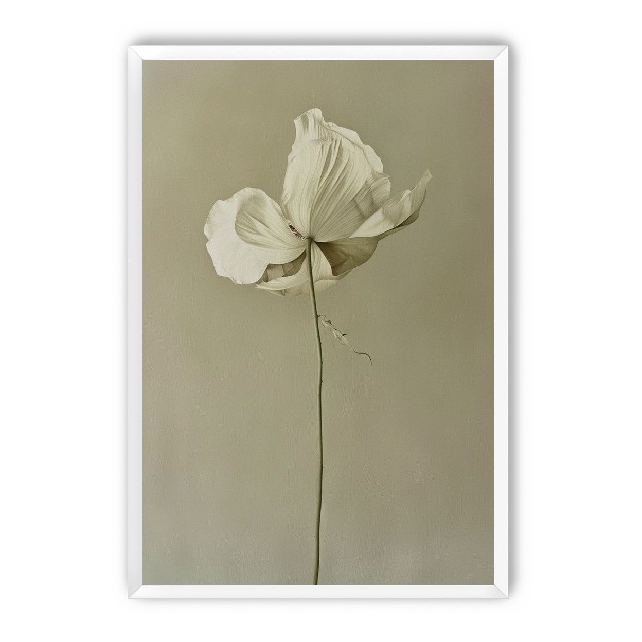 Ivory bloom in gray air