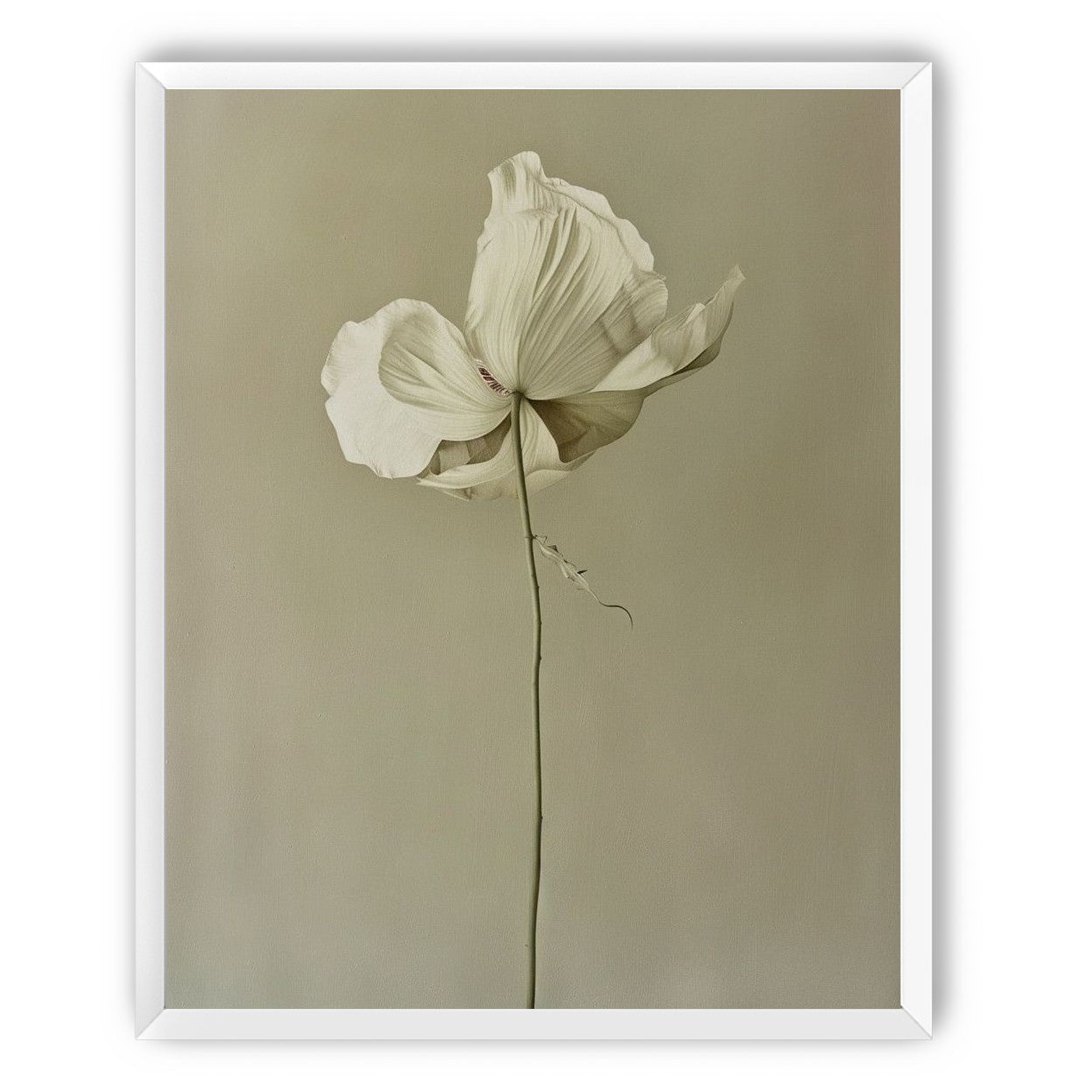 Ivory bloom in gray air