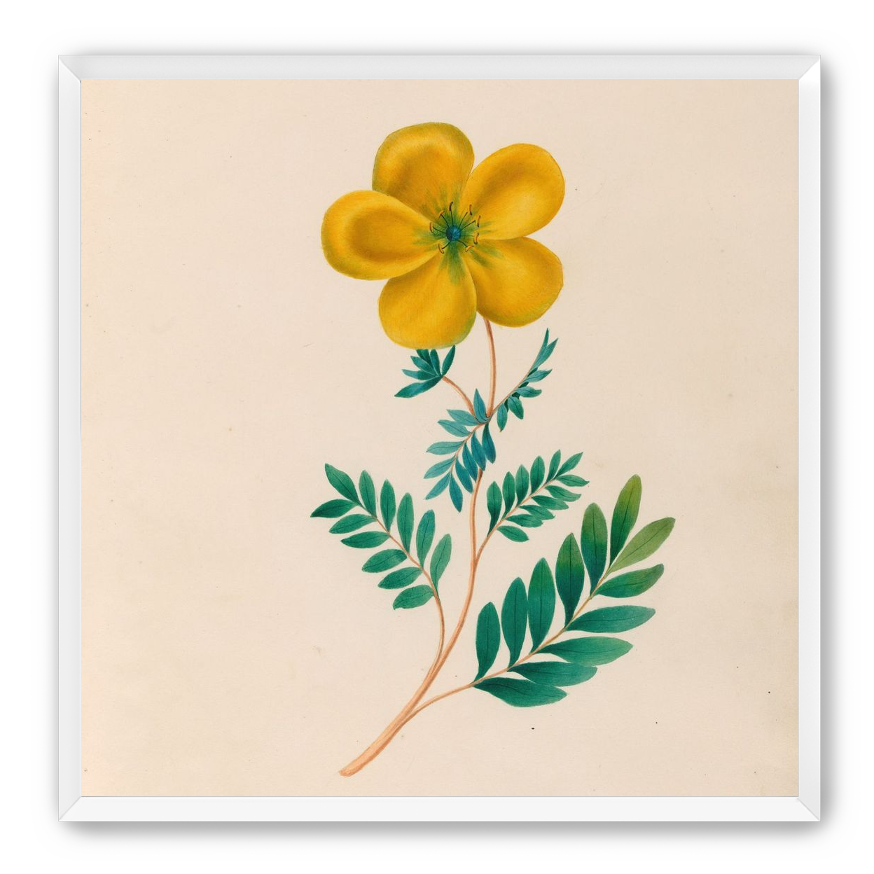 Yellow flower on pale paper
