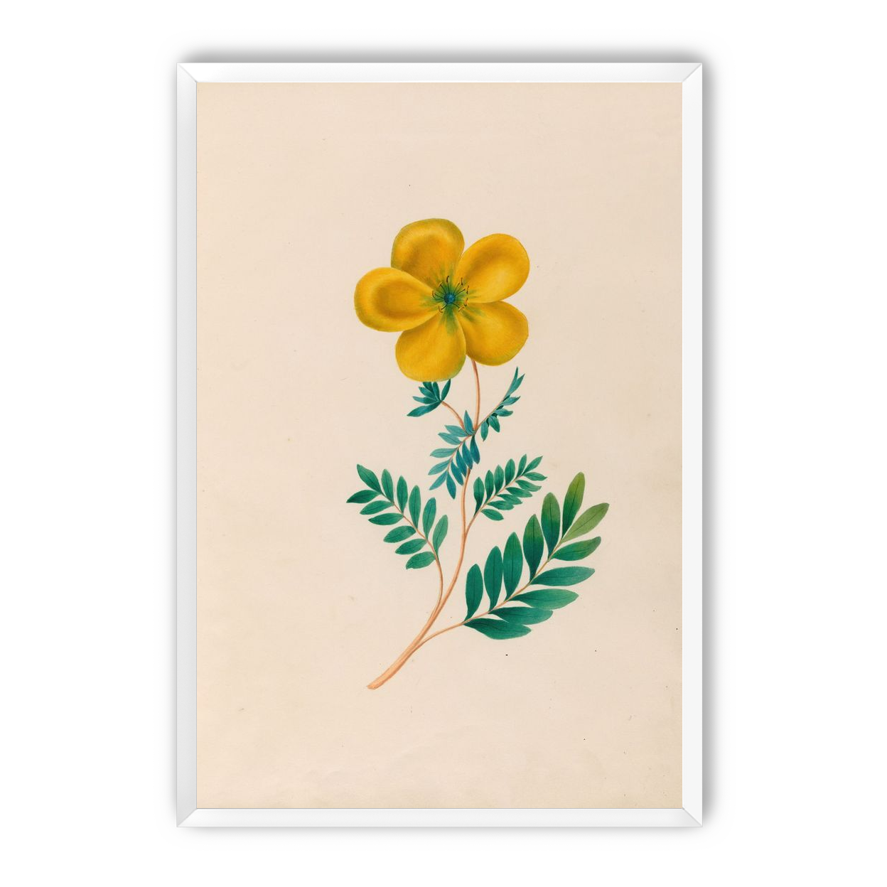 Yellow flower on pale paper