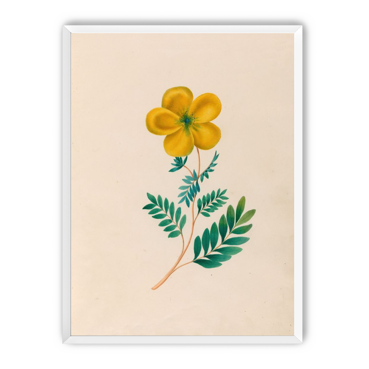 Yellow flower on pale paper