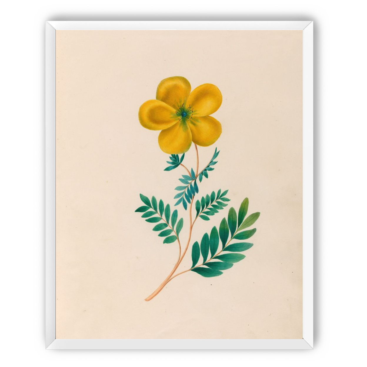 Yellow flower on pale paper