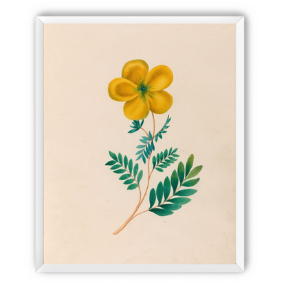 Yellow flower on pale paper