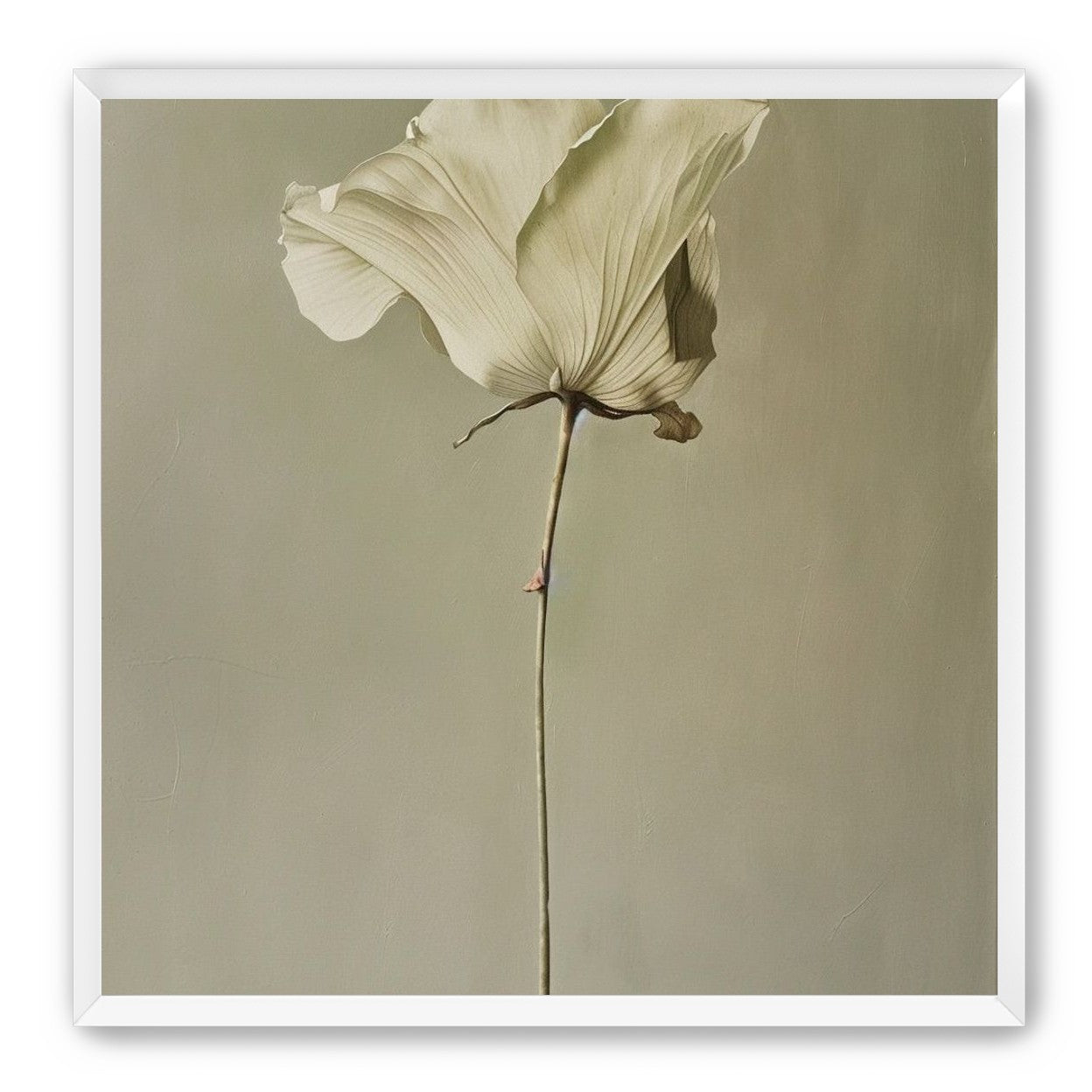 One flower and its hush