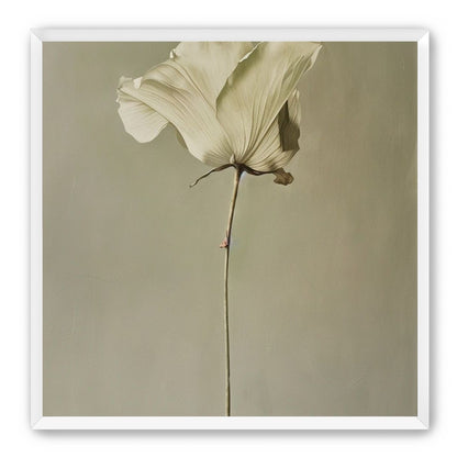 One flower and its hush