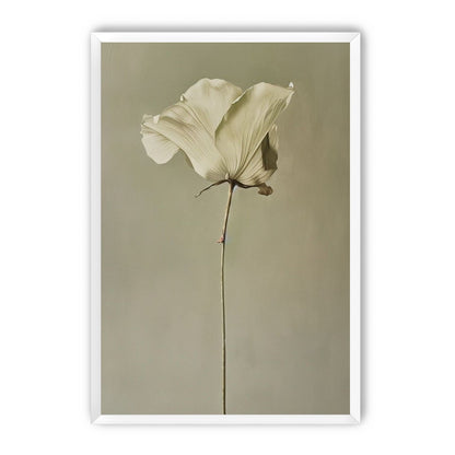 One flower and its hush