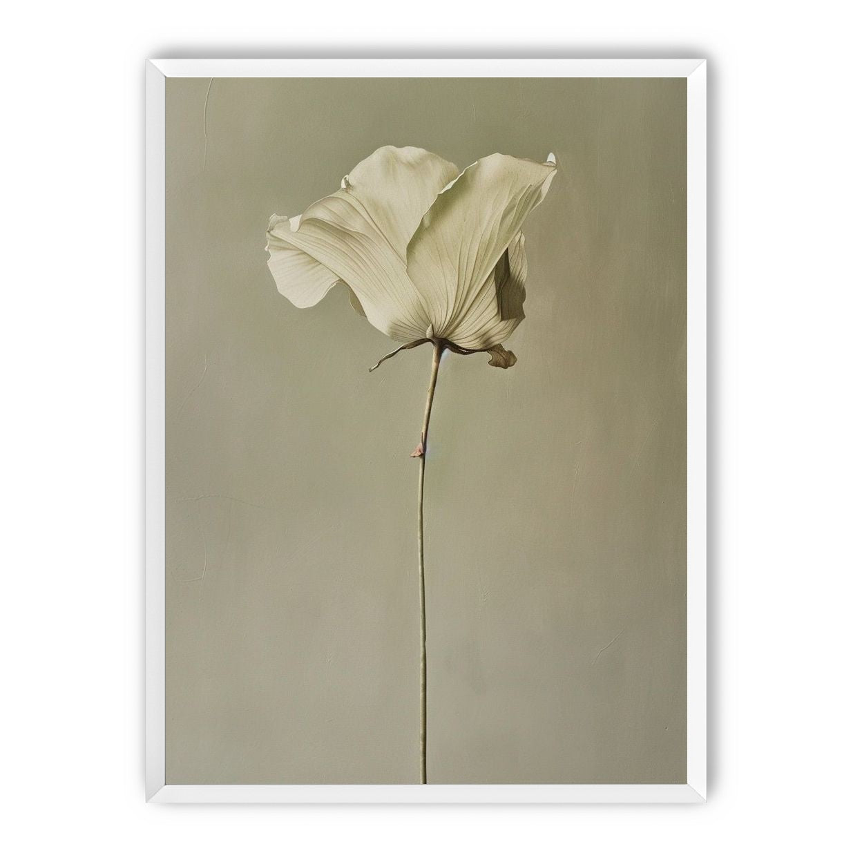 One flower and its hush