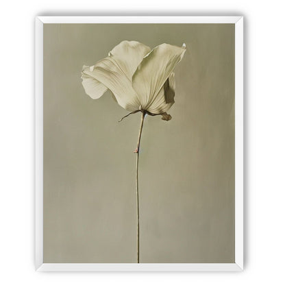 One flower and its hush