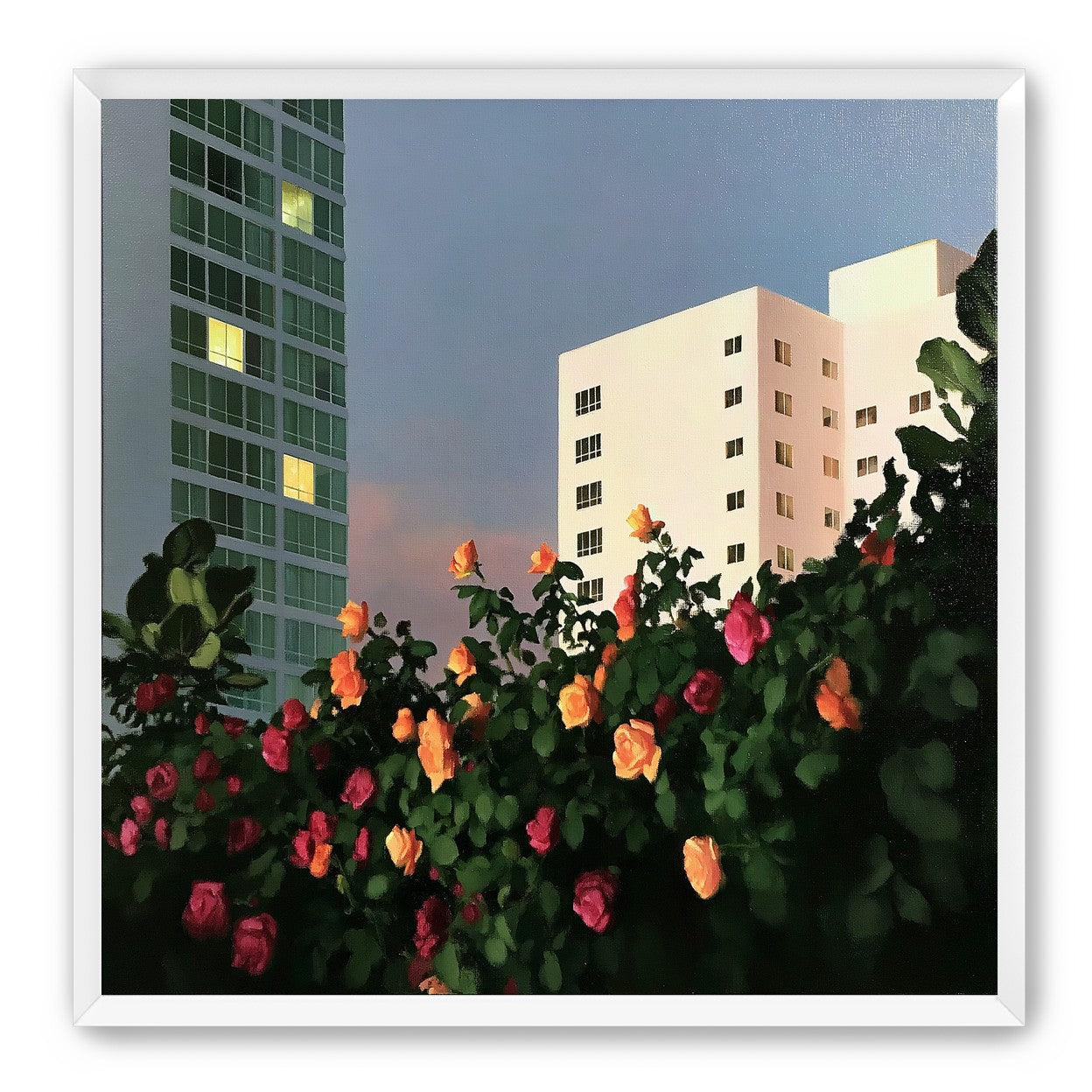 Roses below lit windows