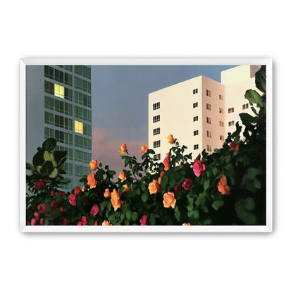 Roses below lit windows