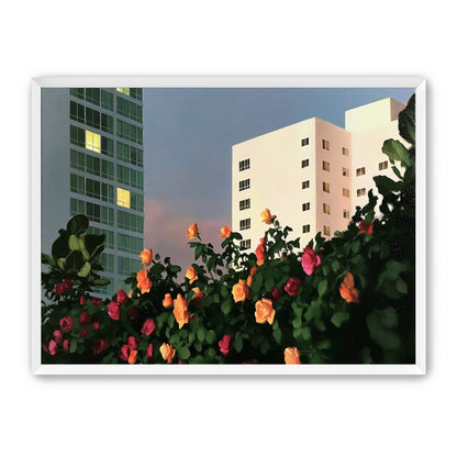 Roses below lit windows