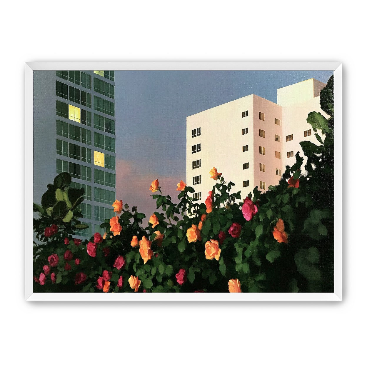 Roses below lit windows