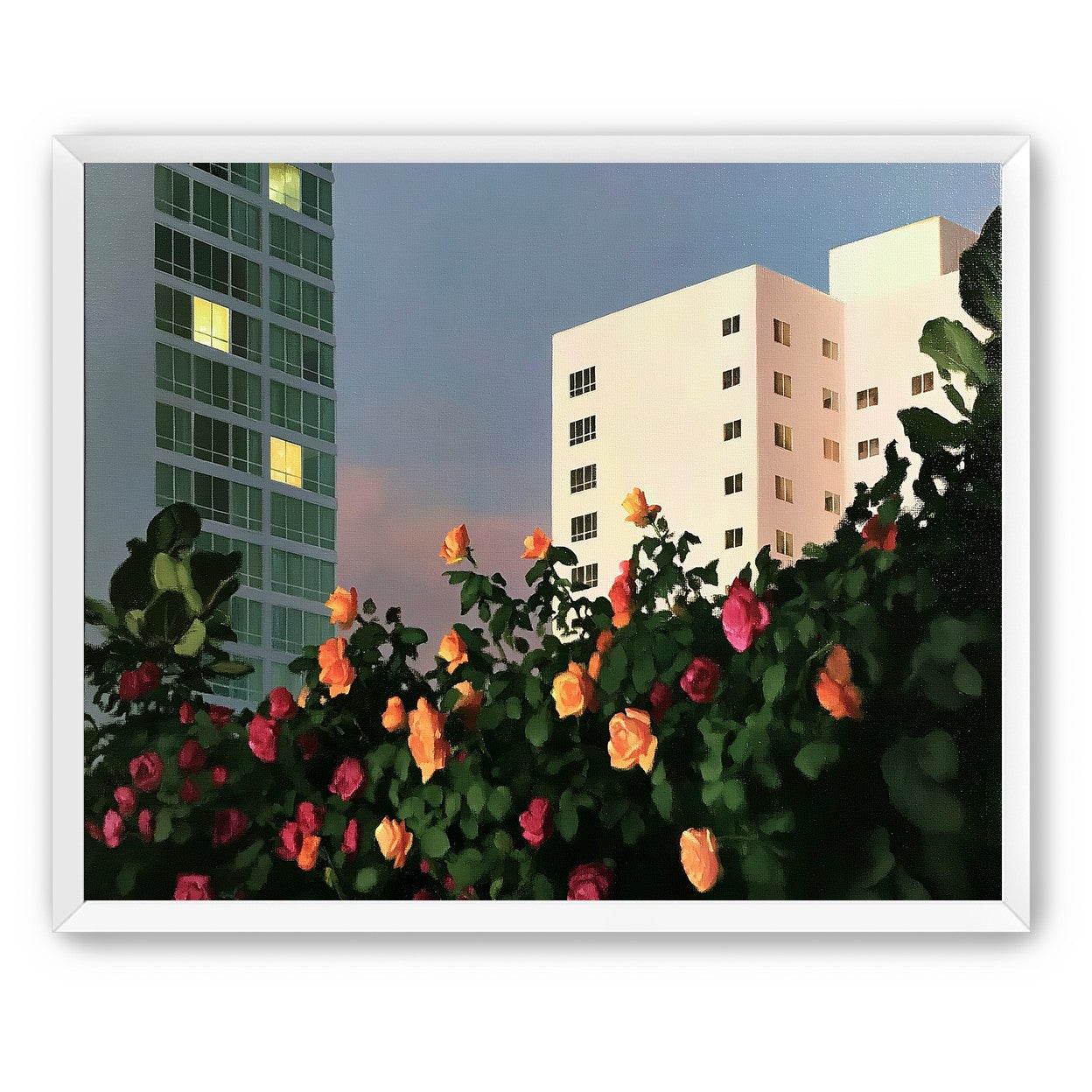 Roses below lit windows