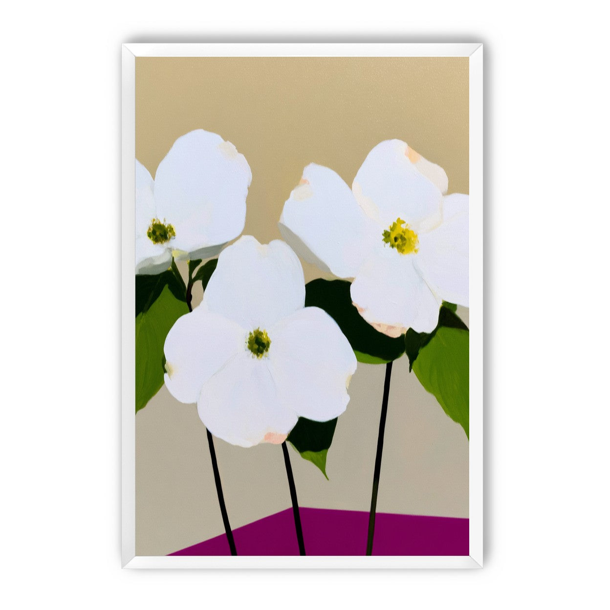 Three white flowers above purple