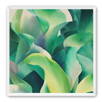Calla lilies crowd the light