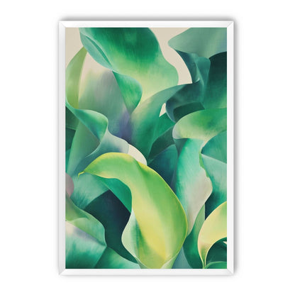 Calla lilies crowd the light