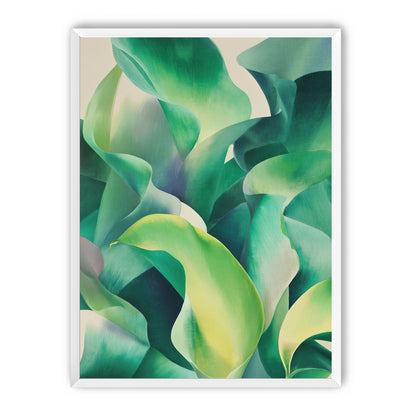 Calla lilies crowd the light
