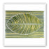 Palm frond in green bands