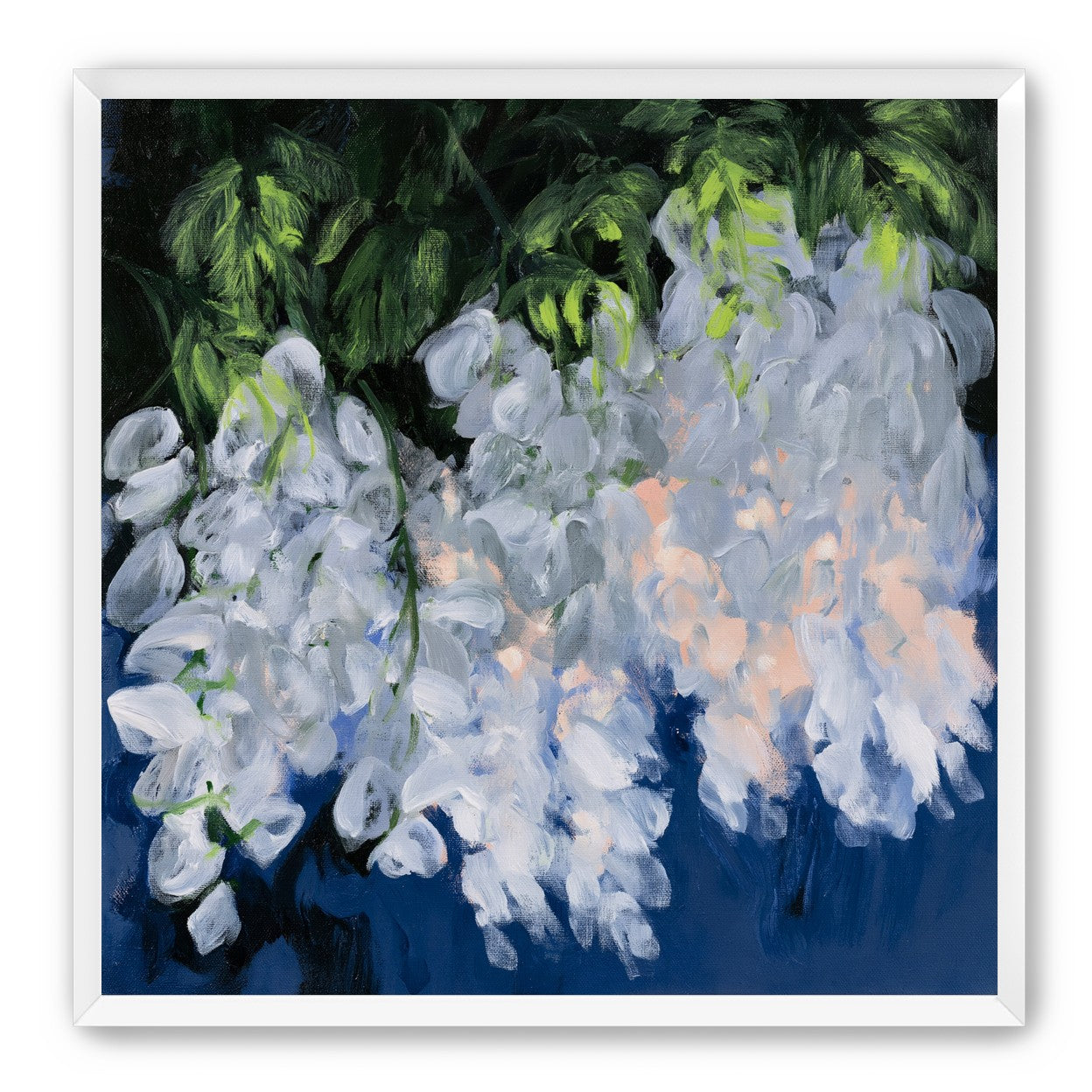 White blooms in blue shade