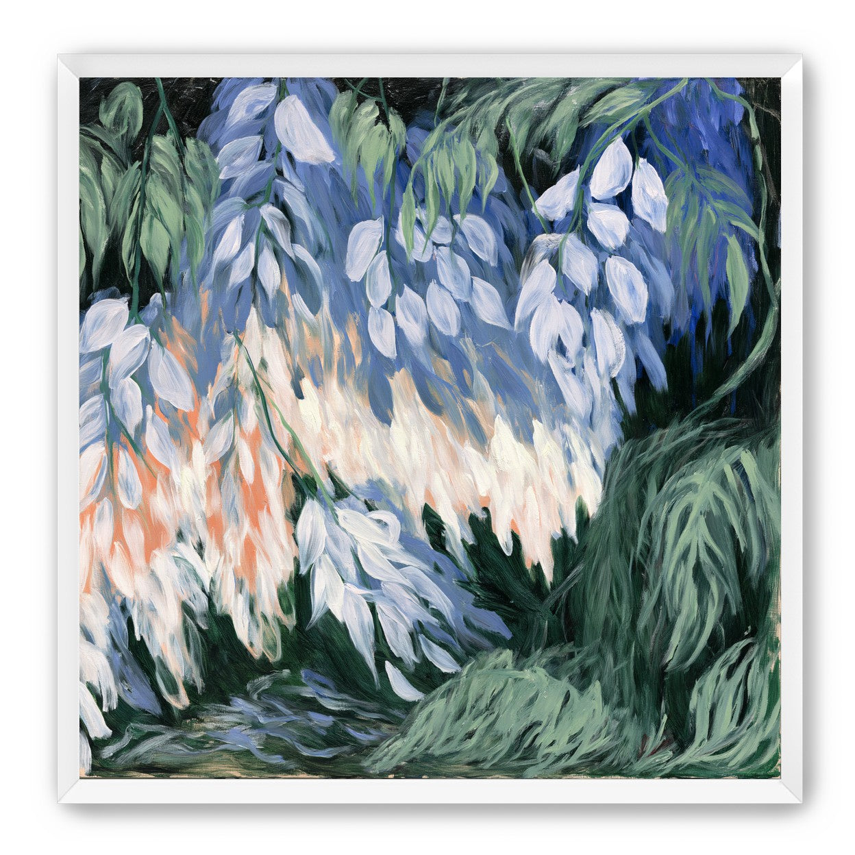 White blossoms in blue shade