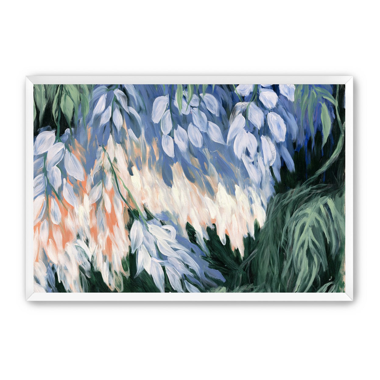 White blossoms in blue shade