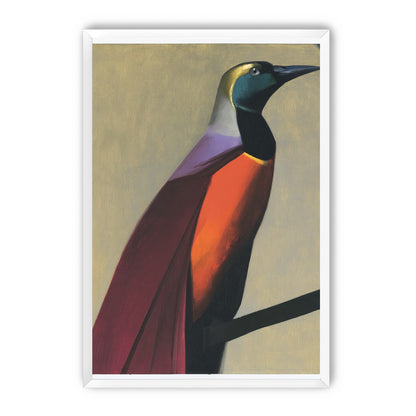 Bright bird on a branch