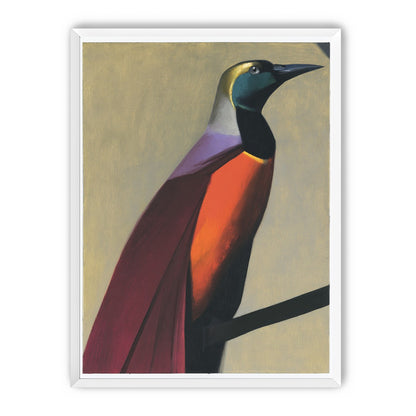 Bright bird on a branch
