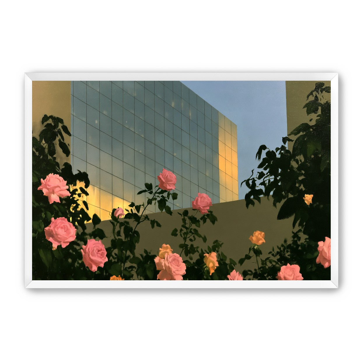 Roses against the glass wall