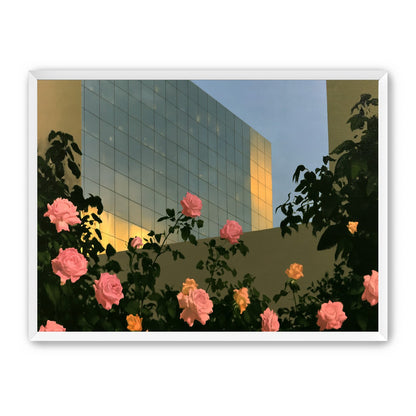 Roses against the glass wall