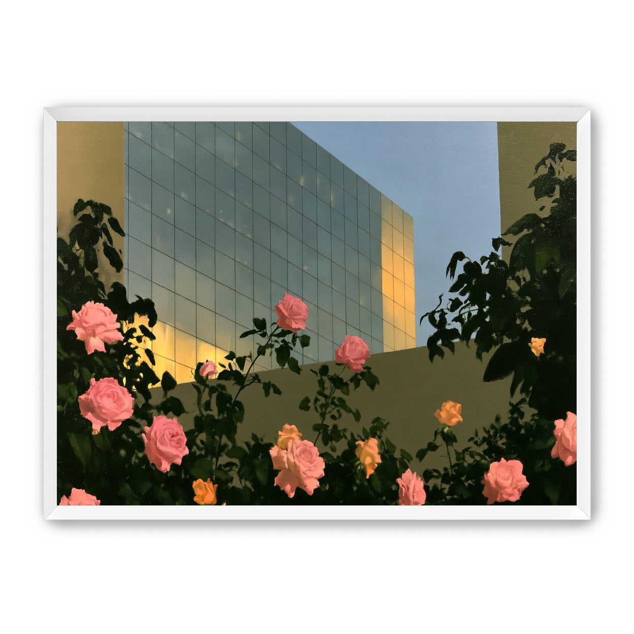 Roses against the glass wall