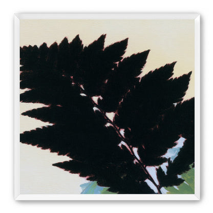 Black leaves on pale ground