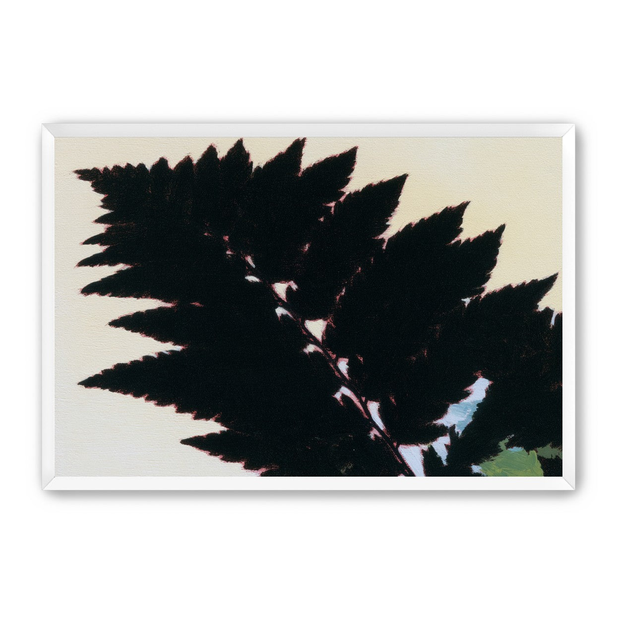 Black leaves on pale ground