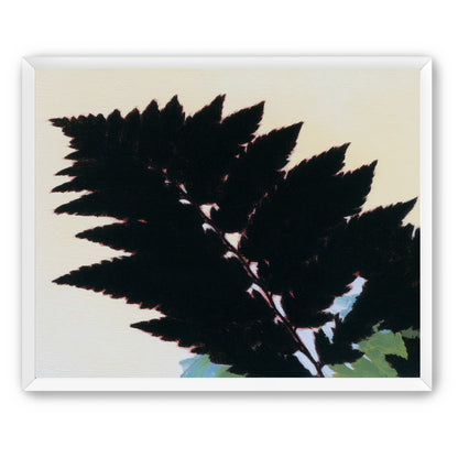 Black leaves on pale ground