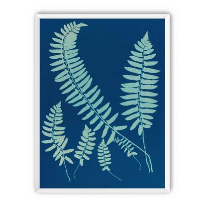 Fern shadows in blue