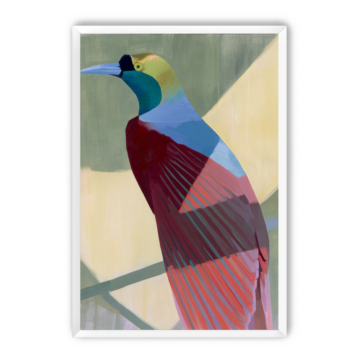 Teal throat on maroon wing