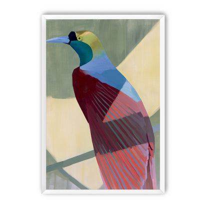 Teal throat on maroon wing
