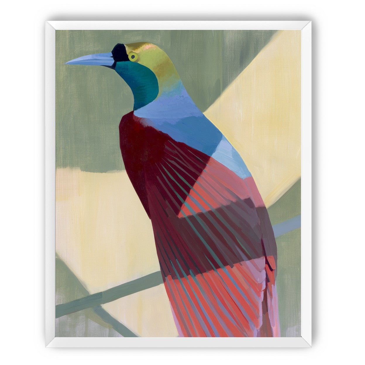 Teal throat on maroon wing