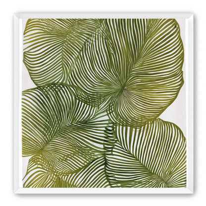 Palm leaves pressed together
