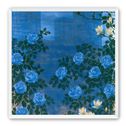 Roses against the blue towers