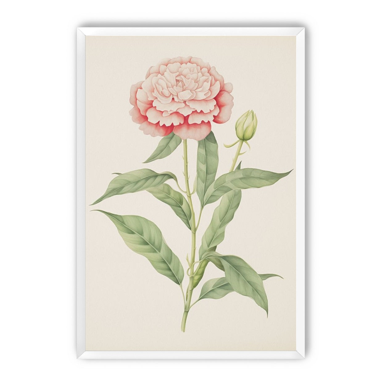 Delicate Blush