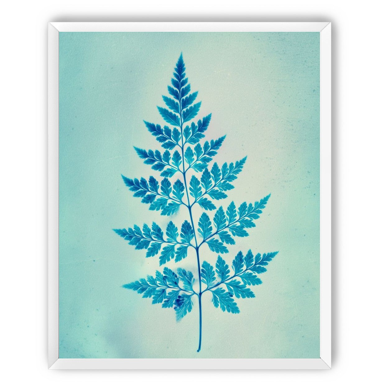 stems and leaves
