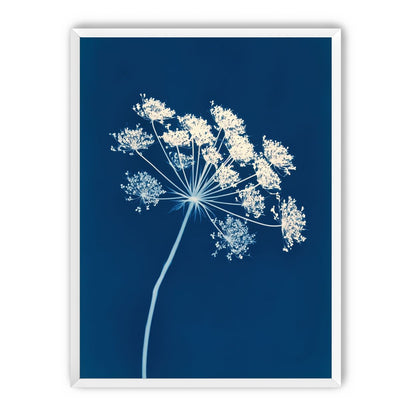 Midnight Bloom